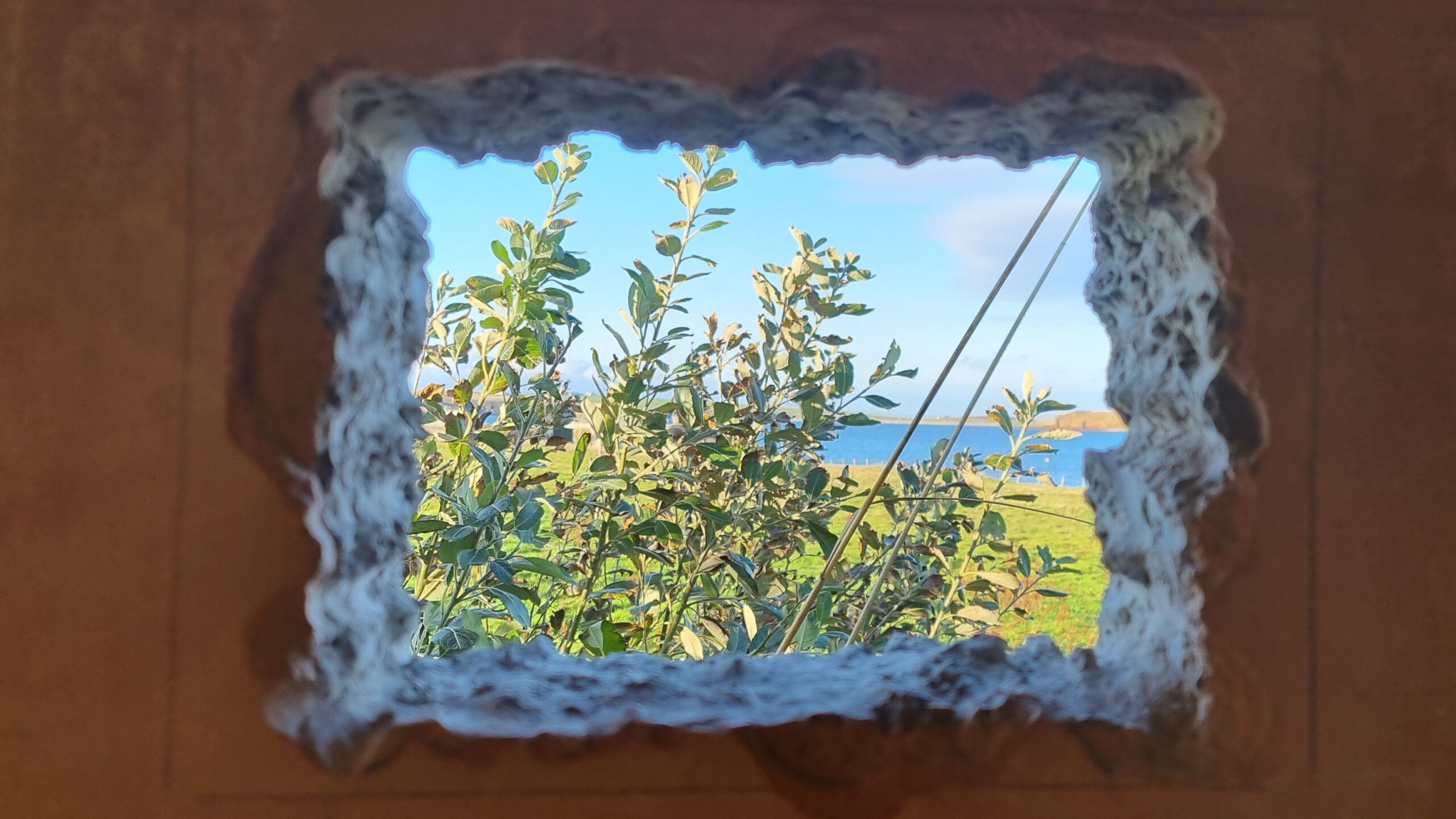 Looking out North through the newly cut brewery ventilation hole.